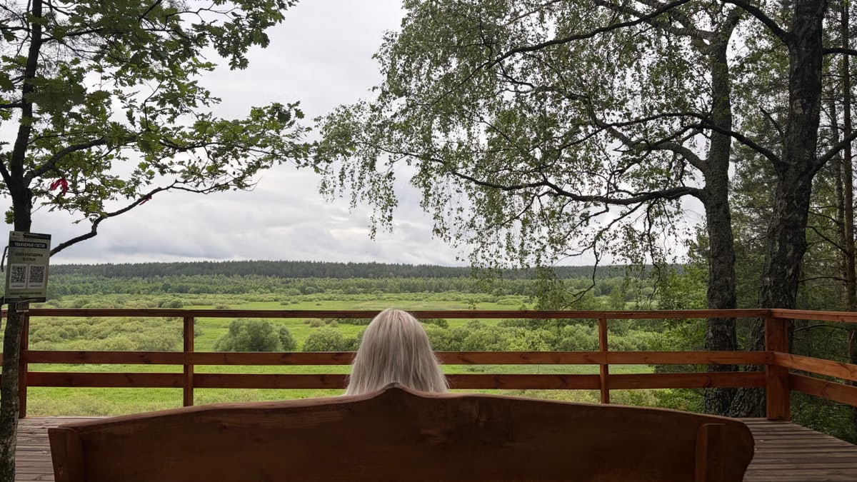A peaceful view of lush green landscape from a wooden deck.